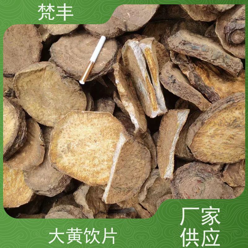 梵丰 大黄种子 抗虫害全国发货 长期供应 诚信经营