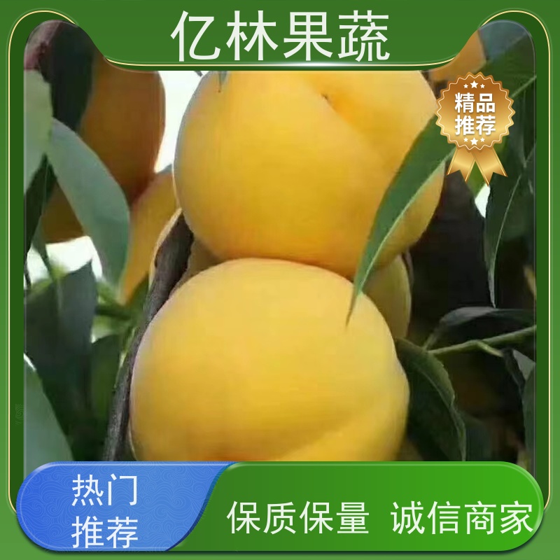亿林苗木 秋彤桃 现挖现发新鲜 粗两公分 易栽培桃树苗