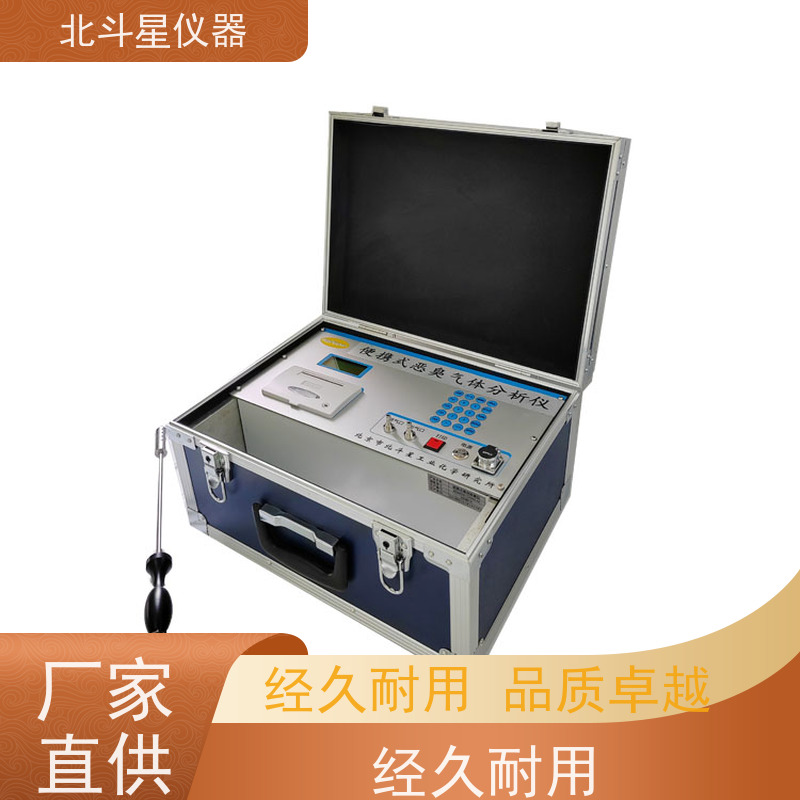 北斗星仪器 pAir2000-EFF 实时连续监测 恶臭气体分析仪