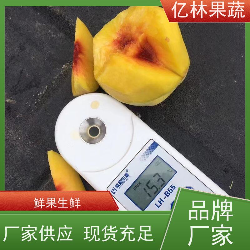 基地供应 冬桃苗 三公分现挖现发 品种齐全 根系饱满成活率高