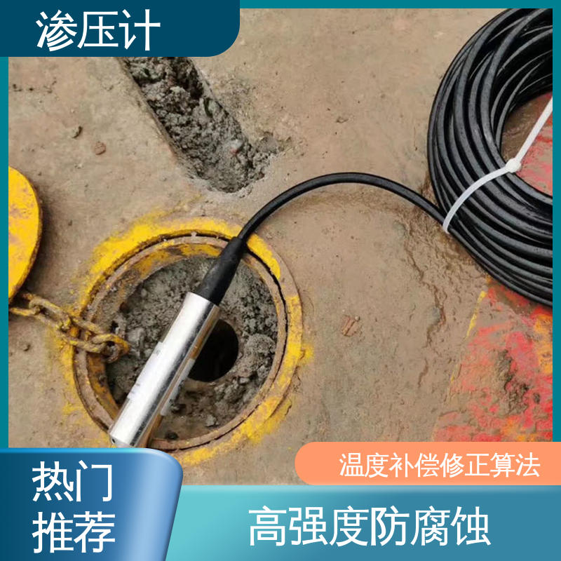 内部孔隙水压 硅压阻式渗压计 尾矿库露天矿 长期在线监测