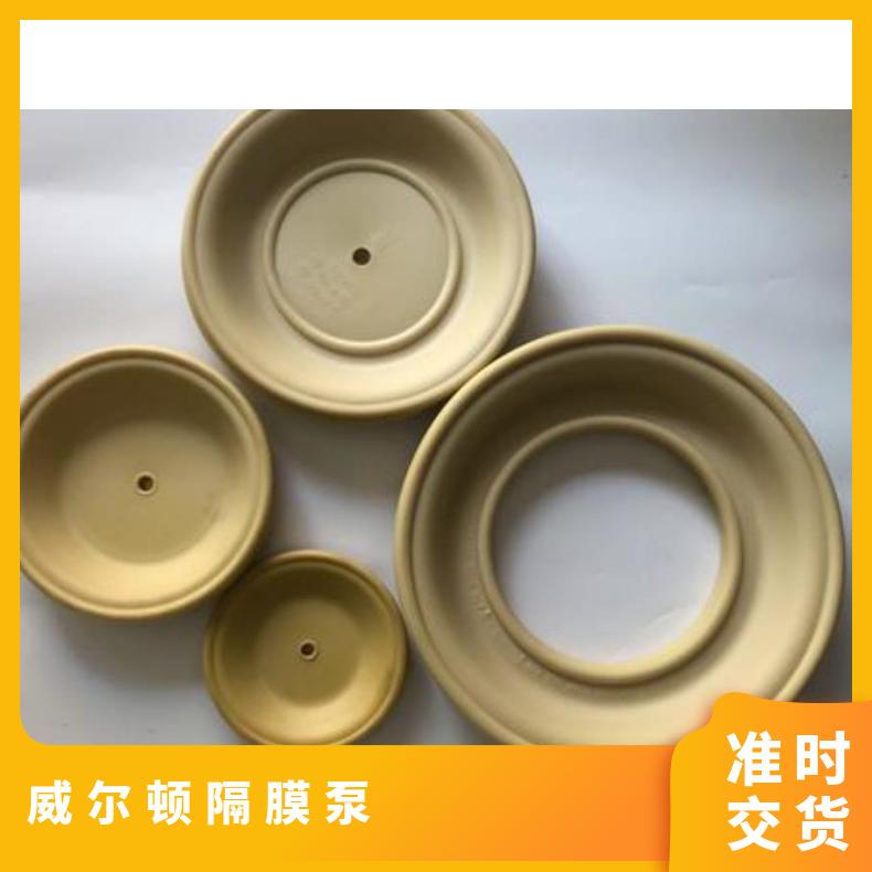 米顿罗计量泵配件GM0010000200250050隔膜组件膜片