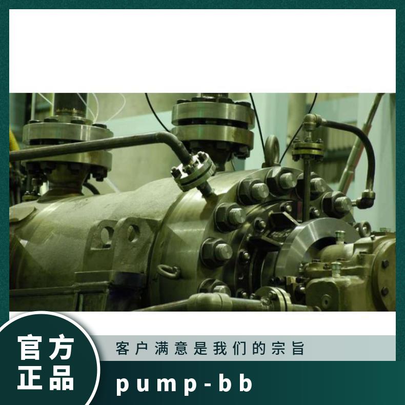 ARAI维修保养 新井泵Arai Pump-BB型 潜水污水泵 常温 铸铁
