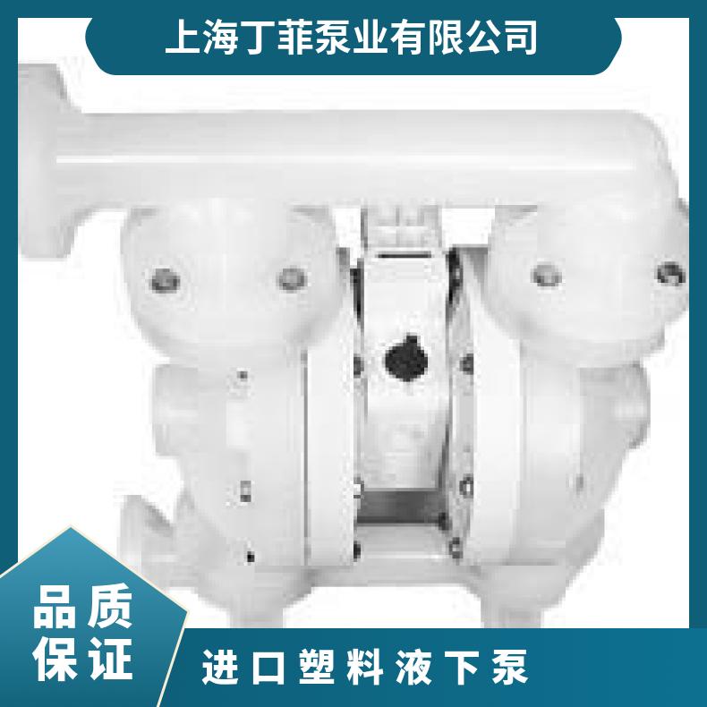 进口气动隔膜泵 威尔顿塑料PX4 08/15-1010-51/52 是 美国