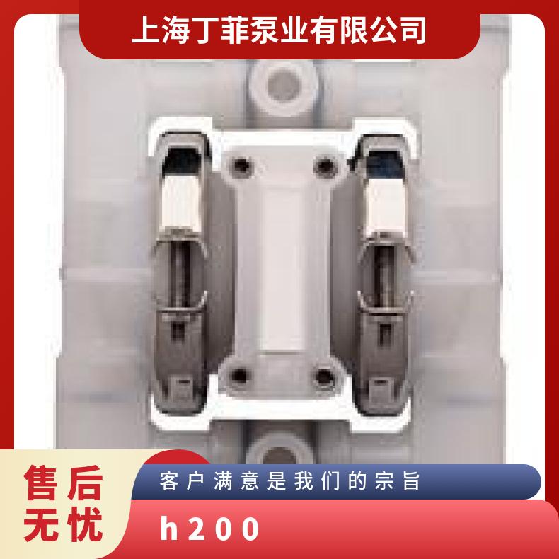 威尔顿隔膜泵结构图 H200高压WILDENPUMP8威尔顿2寸T8隔膜泵配件