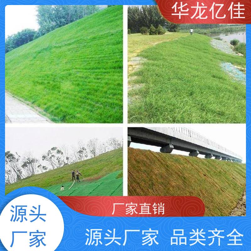国标 椰丝草籽毯 河道护坡绿化植草毯 施工简单