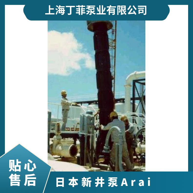 日本arai新井泵 Arai Pump-VS型 潜水污水泵 铸铁 常温