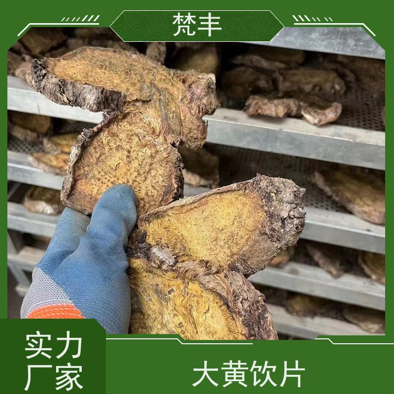 梵丰 大黄用途 各种规格支持过筛 库存充足 厂家供应