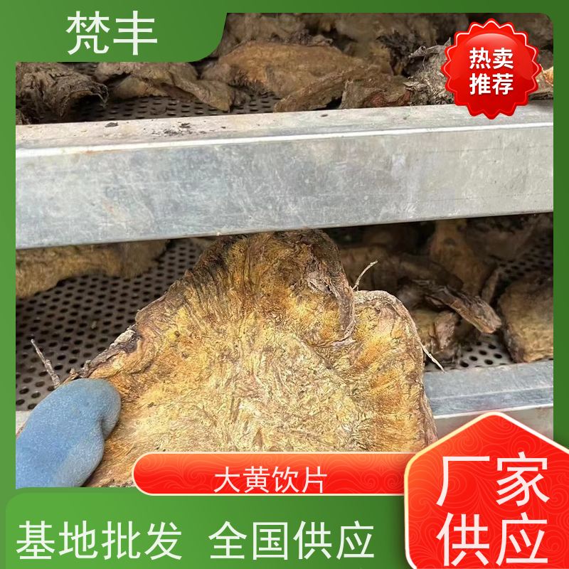 梵丰 大黄驯化种子 各种规格支持过筛 库存充足 厂家供应