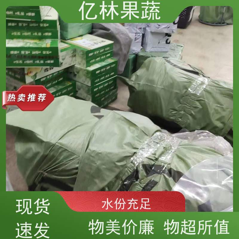 基地供应 园林嫁接桃苗 特产果树桃幼苗 果实饱满味道好