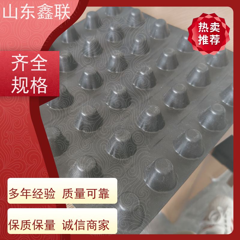 鑫联 1公分高 塑料凸片排水层 百亩面积厂商 聚乙 烯滤水板