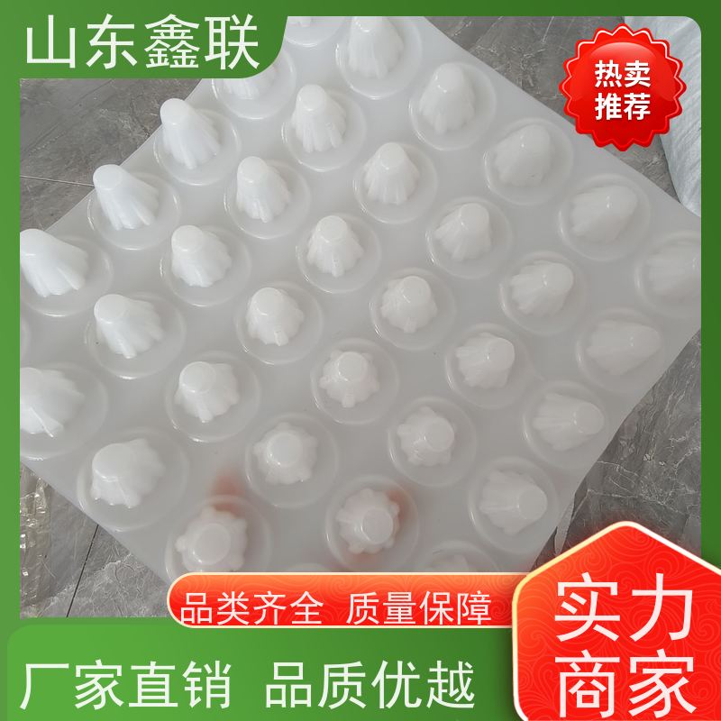 鑫联 3公分高 塑料凸片排水层 屋顶花园绿化 PE排蓄水板