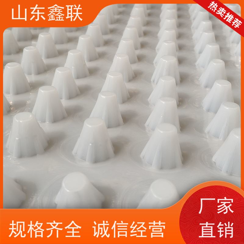 鑫联 黑色国标料 塑料凸片排水层 国检认证品质 成品疏水板