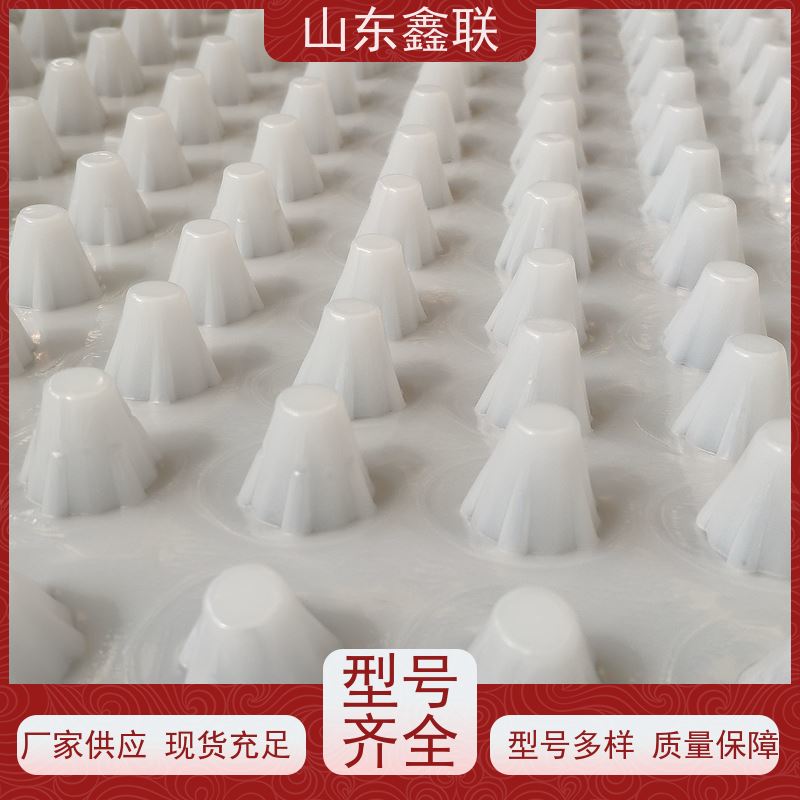 鑫联 50高黑色 塑料凸片排水层 专注生产供应 厚滤水板