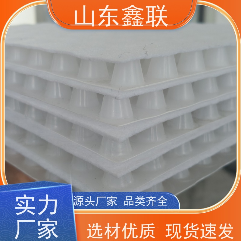 鑫联 1公分高 塑料凸片排水层 国检认证品质 厚滤水板