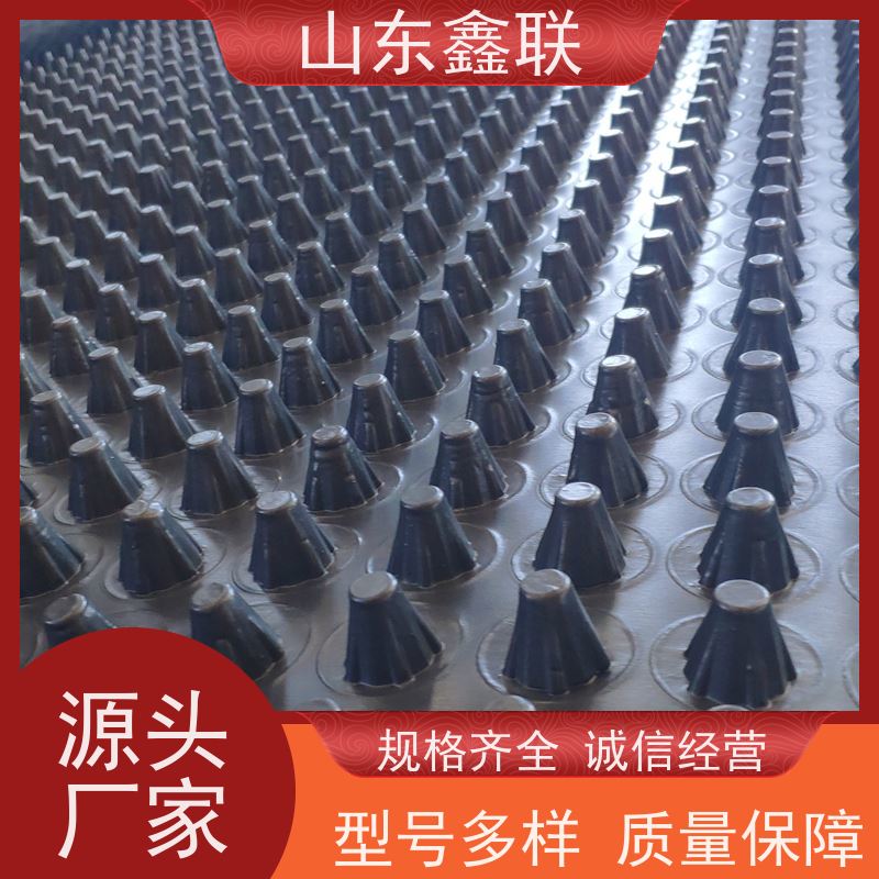 鑫联 黑色国标料 塑料凸片排水层 厂家施工指导 聚乙 烯滤水板