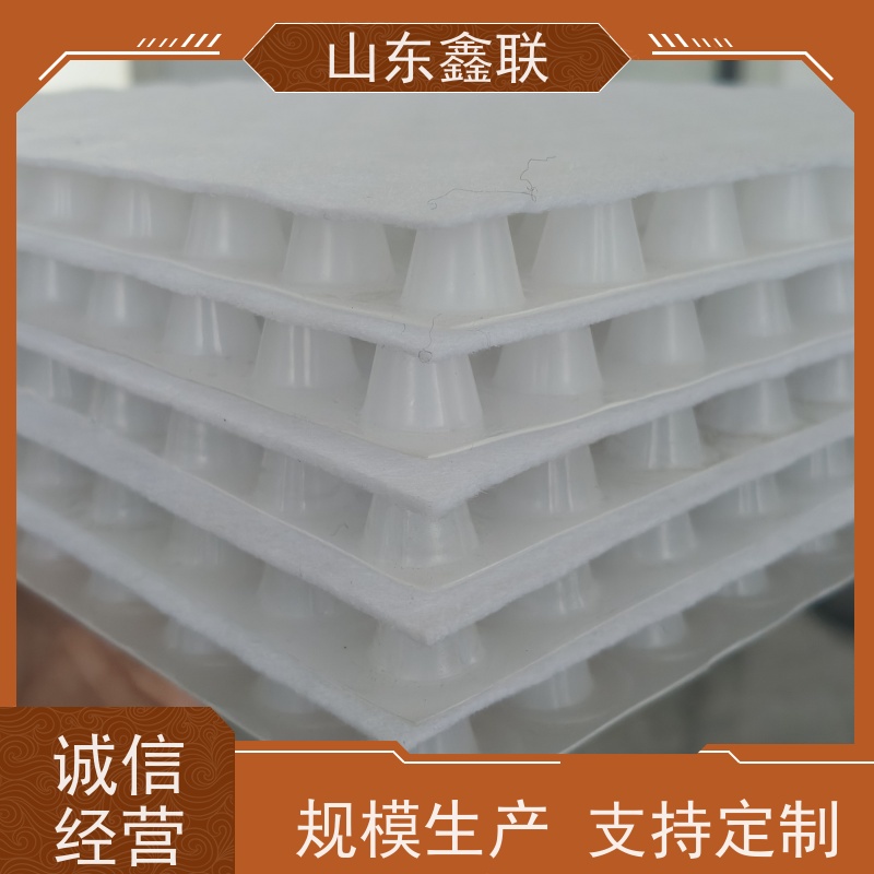 鑫联 2公分厚 塑料凸片排水层 车库顶板专用 聚乙 烯滤水板