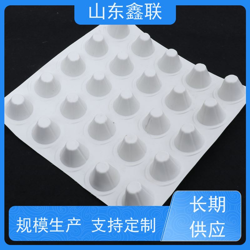 鑫联 白色全新料 塑料凸片排水层 严选自营 厚滤水板