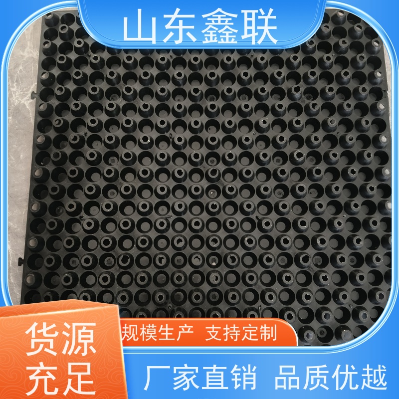 鑫联 3公分高 塑料凸片排水层 国检认证品质 PE排蓄水板