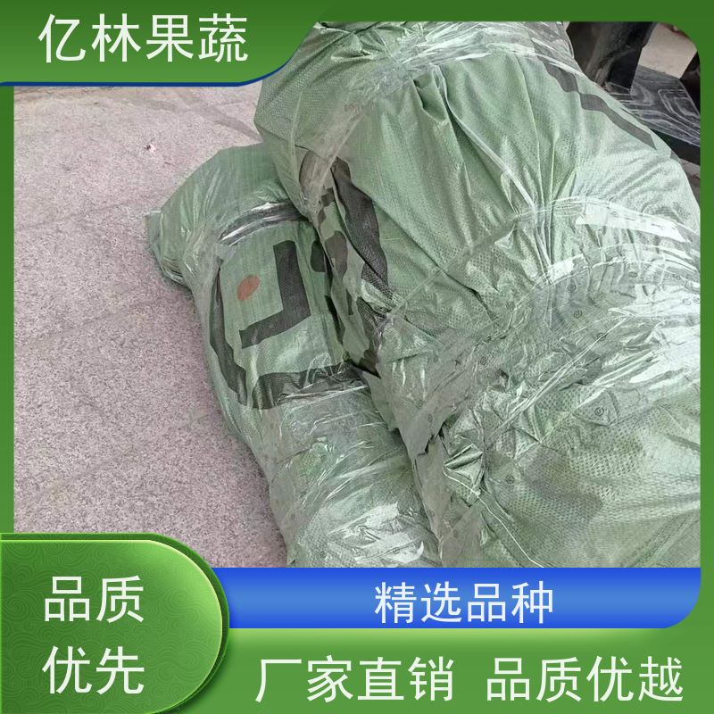 亿林苗木 晚熟桃树苗 现挖现发 口感香甜 果实饱满味道好