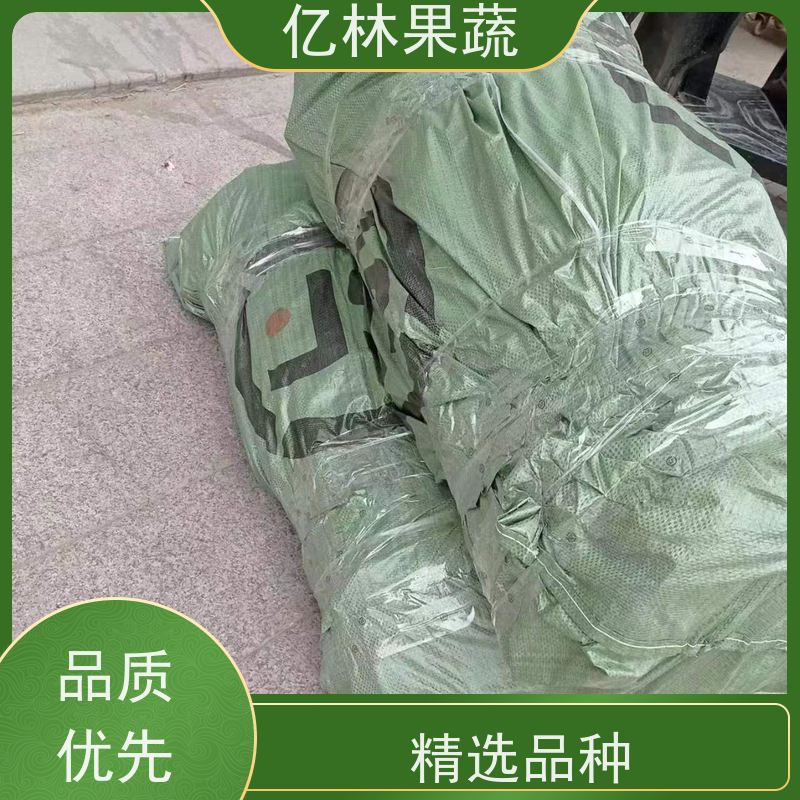 基地供应 桃树苗 三公分现挖现发 品种齐全 根系饱满成活率高