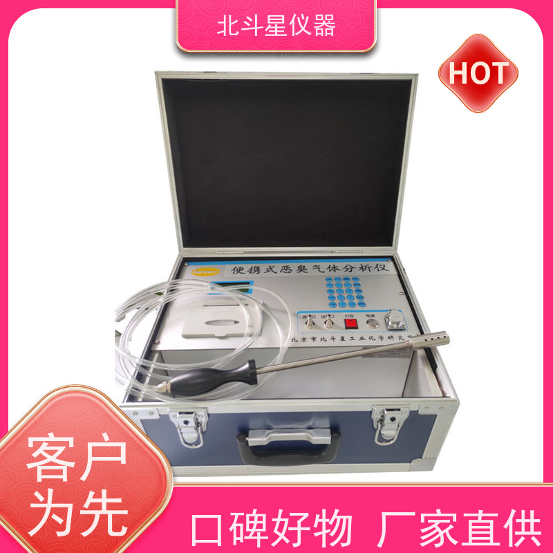 北斗星仪器 高精度电化学传感器 恶臭气味测试仪 pAir2000-EFF