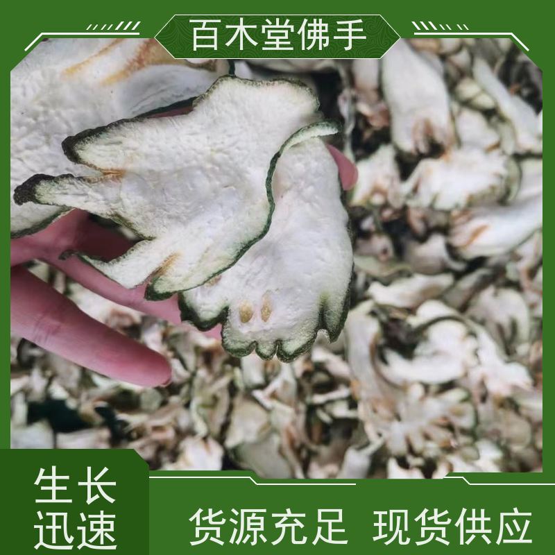 百木堂 川佛手 适用性强 规格齐全 园林景区栽植