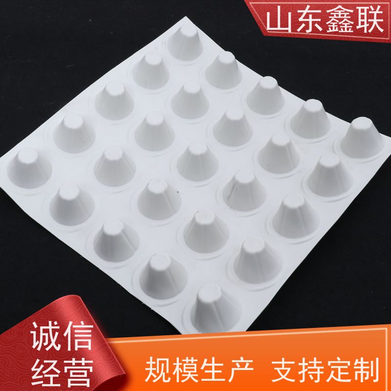 鑫联 14高复合一体 塑料凸片排水层 严选自营 厚滤水板