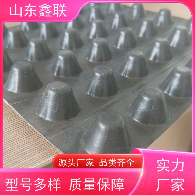 鑫联 16公分大杯口 塑料凸片排水层 大厂实力批发 聚乙 烯滤水板