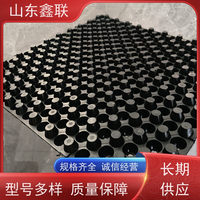 鑫联 白色全新料 塑料凸片排水层 专注生产供应 成品疏水板