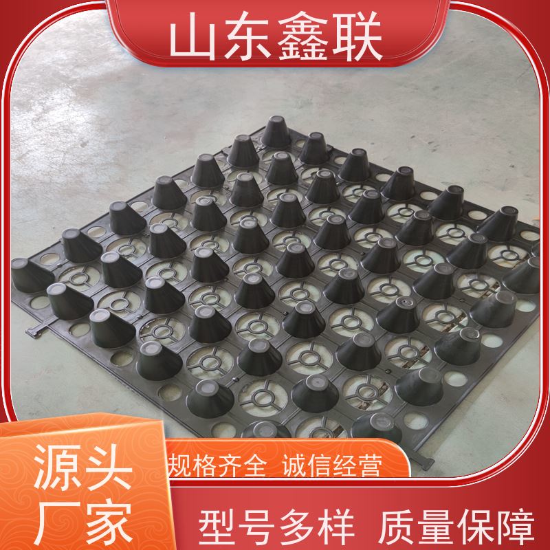鑫联 14高复合一体 塑料凸片排水层 大厂实力批发 聚乙 烯滤水板