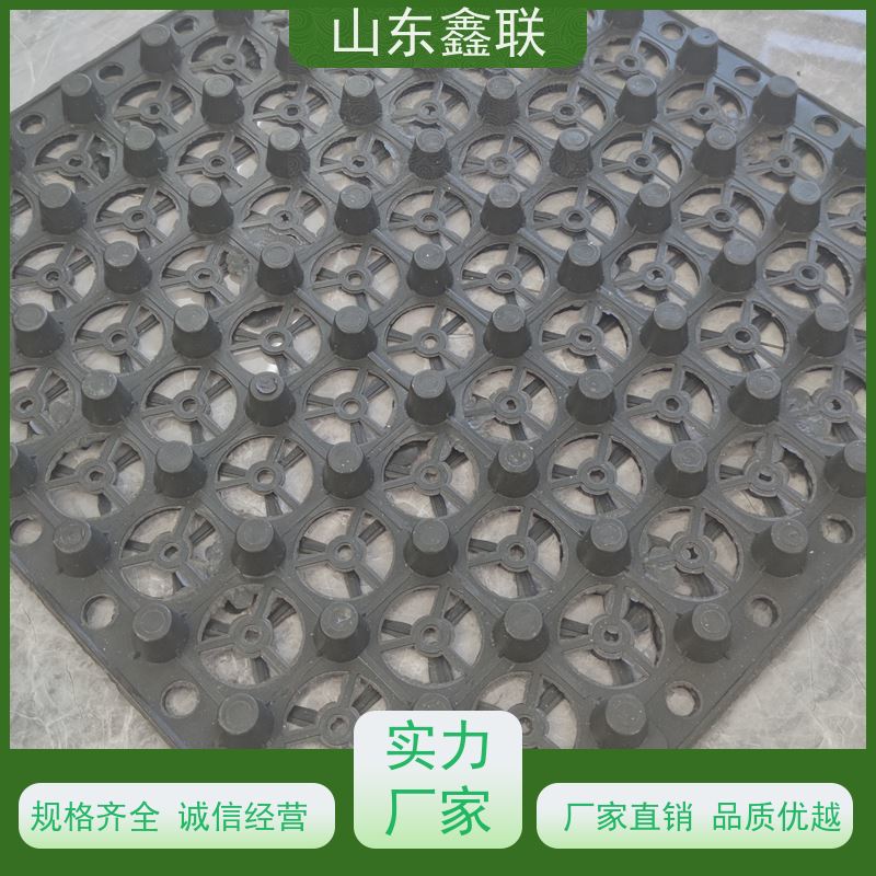 鑫联 50高黑色 塑料凸片排水层 大厂实力批发 PE排蓄水板