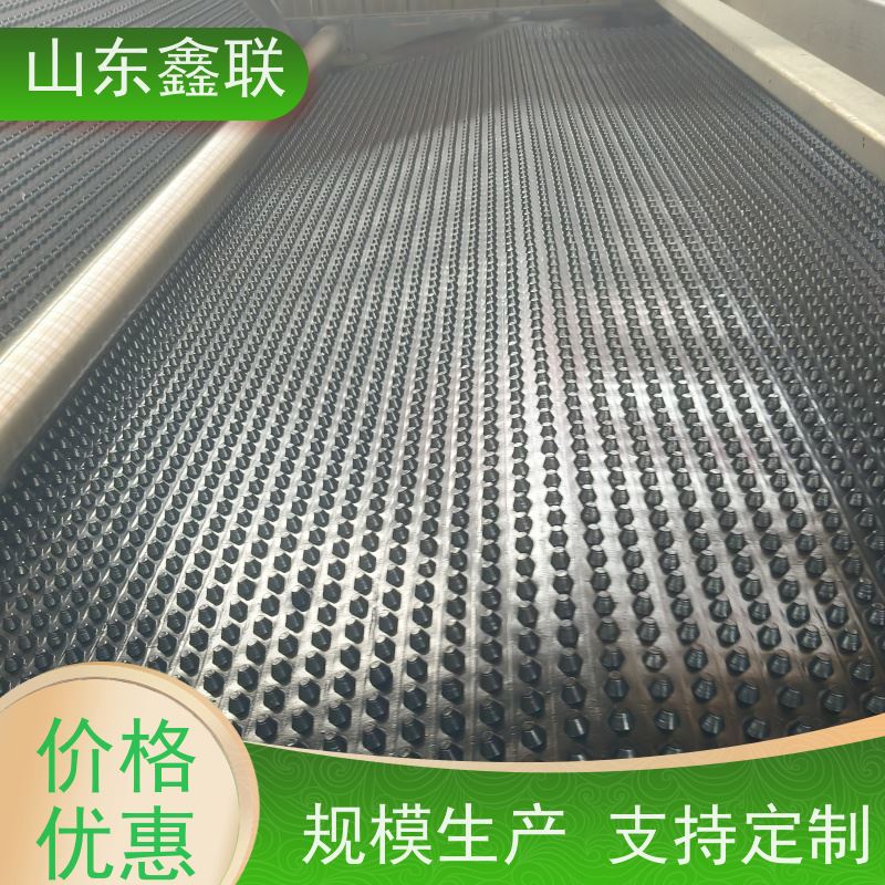 鑫联 20大杯口蓝色底板专用 塑料凸片排水层 10年大厂品牌 成品疏水板