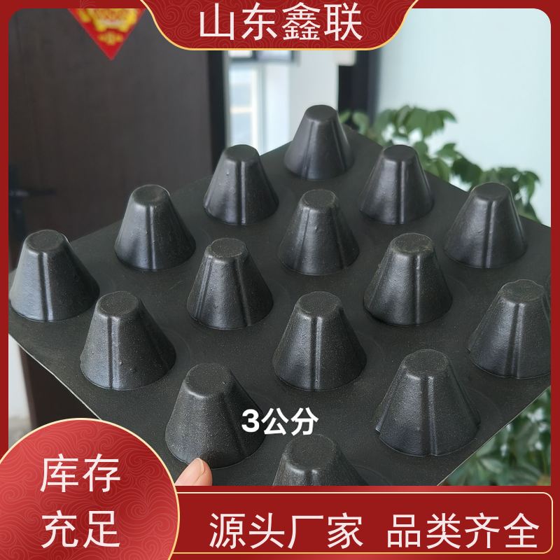 鑫联 14高复合一体 塑料凸片排水层 百亩面积厂商 PE排蓄水板