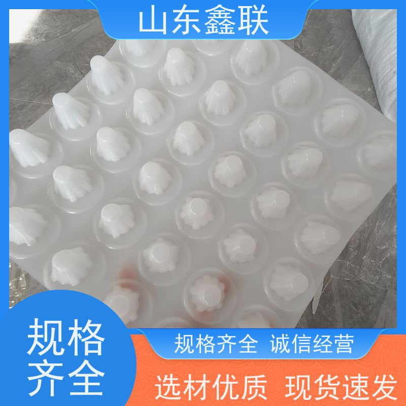 鑫联 16公分大杯口 塑料凸片排水层 专注生产供应 PE排蓄水板
