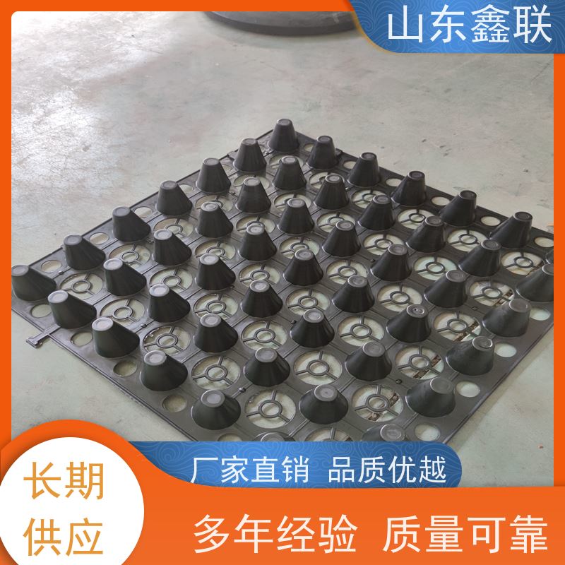 鑫联 20大杯口蓝色底板专用 塑料凸片排水层 百亩面积厂商 PE排蓄水板