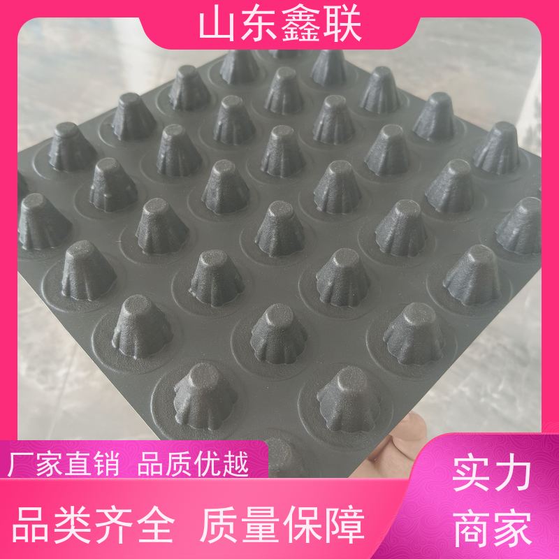 鑫联 40高3*10 塑料凸片排水层 严选自营 聚乙 烯滤水板