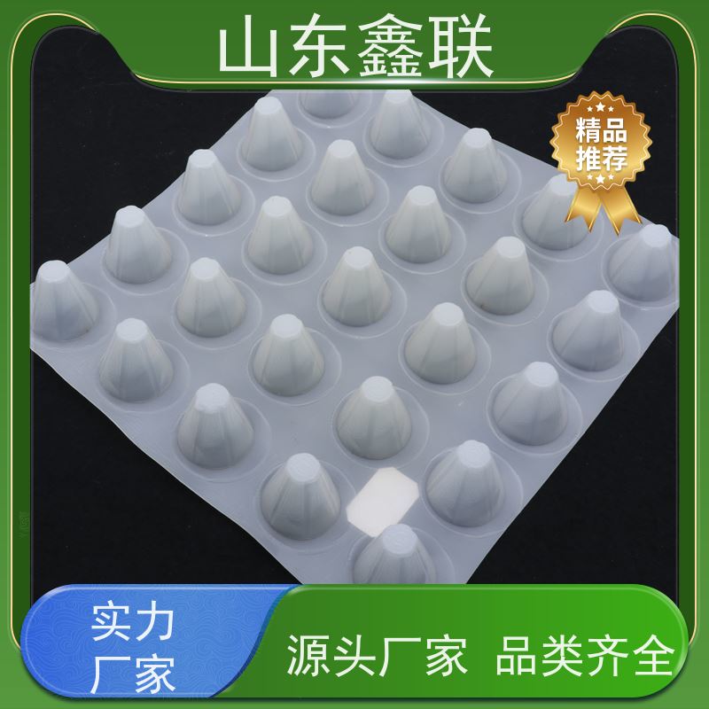 鑫联 3公分高 塑料凸片排水层 专注生产供应 PE疏水板