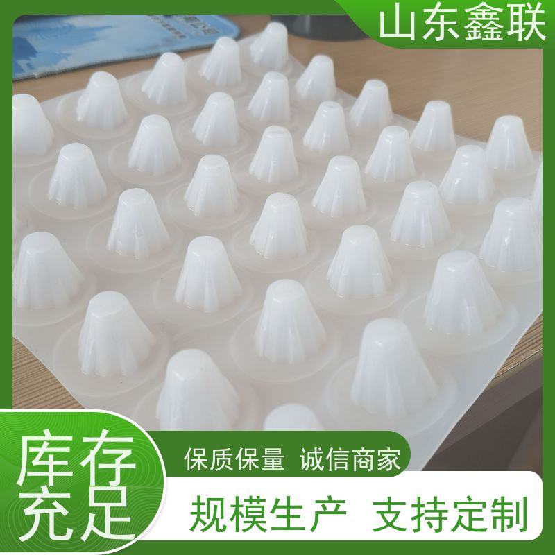 鑫联 20大杯口蓝色底板专用 塑料凸片排水层 大厂实力批发 成品疏水板