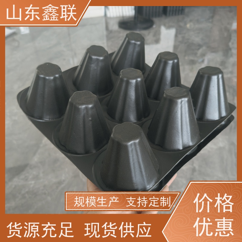 鑫联 20大杯口蓝色底板专用 塑料凸片排水层 百亩面积厂商 厚滤水板