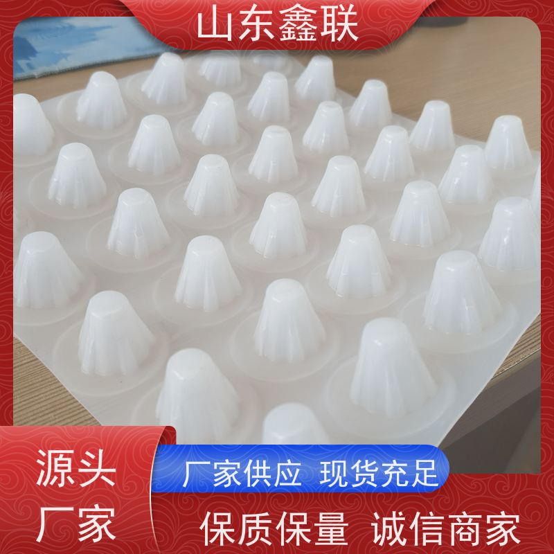 鑫联 2公分厚 塑料凸片排水层 严选自营 PE排蓄水板