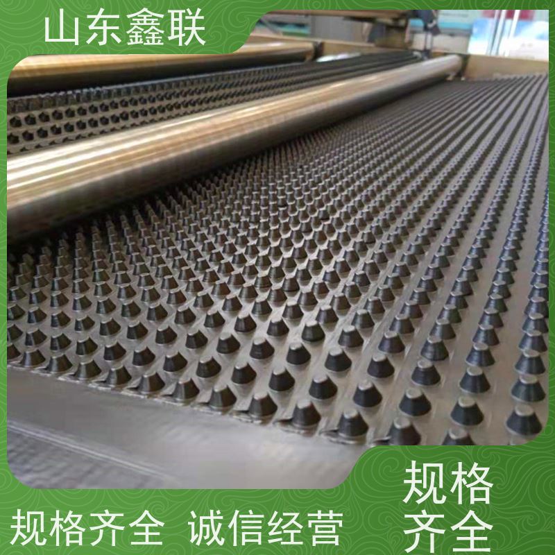 鑫联 黑色国标料 塑料凸片排水层 厂家施工指导 厚滤水板
