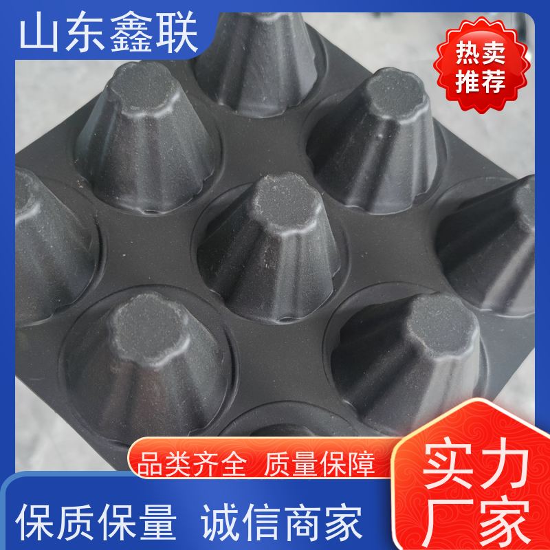 鑫联 14高复合一体 塑料凸片排水层 科研创新 聚乙 烯滤水板
