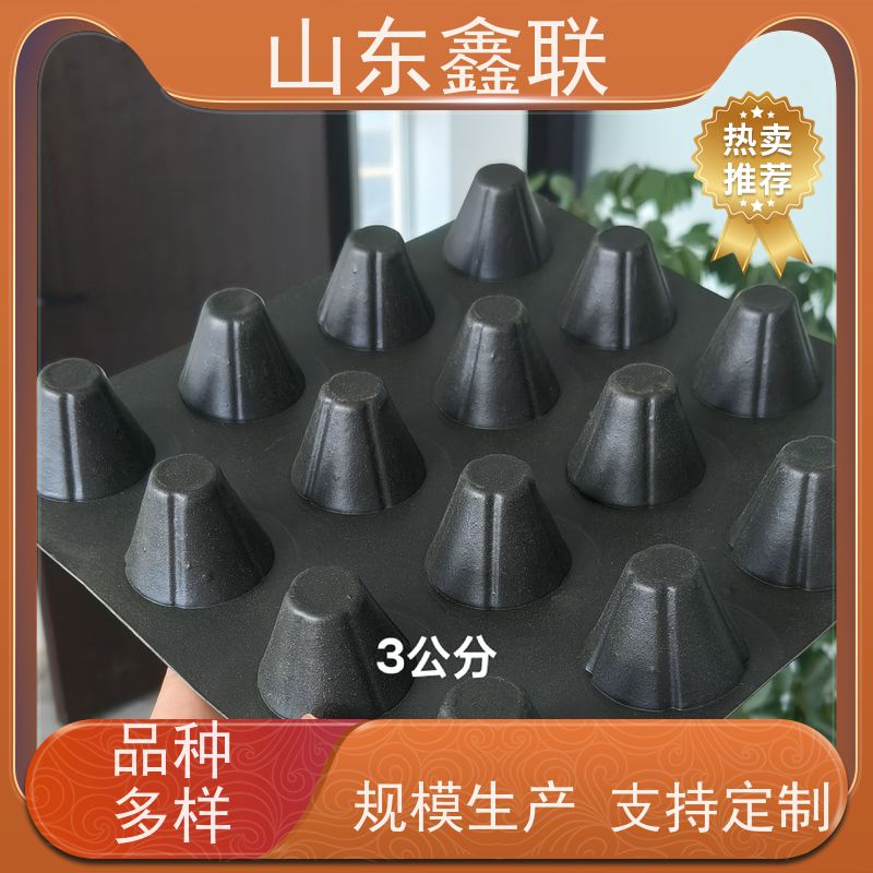 鑫联 50高黑色 塑料凸片排水层 科研创新 厚滤水板