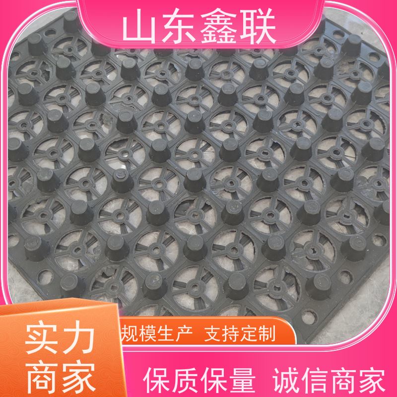 鑫联 40高3*10 塑料凸片排水层 专注生产供应 成品疏水板
