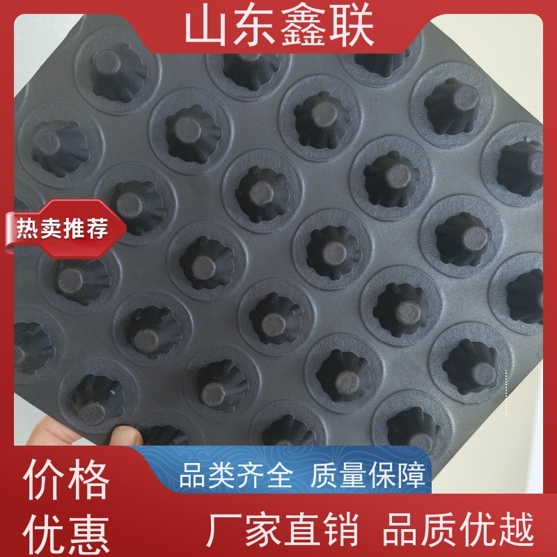 鑫联 1公分高 塑料凸片排水层 10年大厂品牌 聚乙 烯滤水板