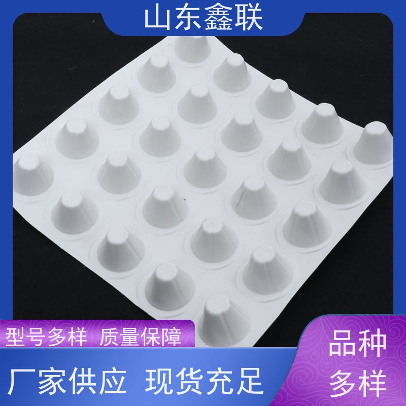 鑫联 3公分高 塑料凸片排水层 科研创新 PE排蓄水板