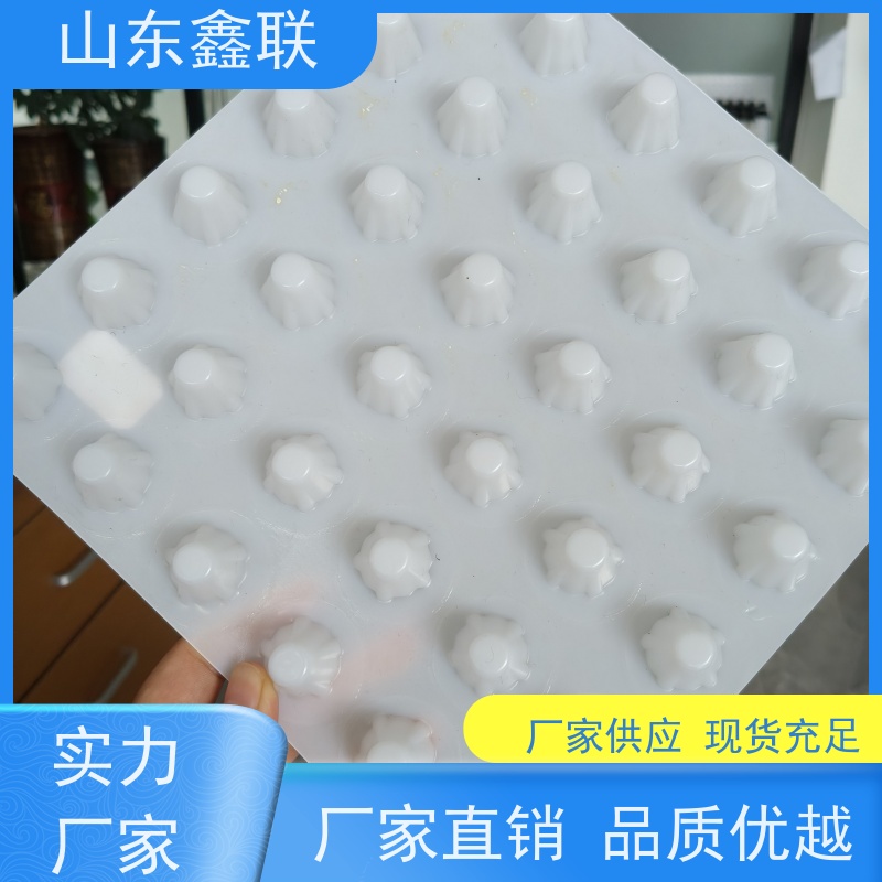 鑫联 白色全新料 塑料凸片排水层 大厂实力批发 PE排蓄水板