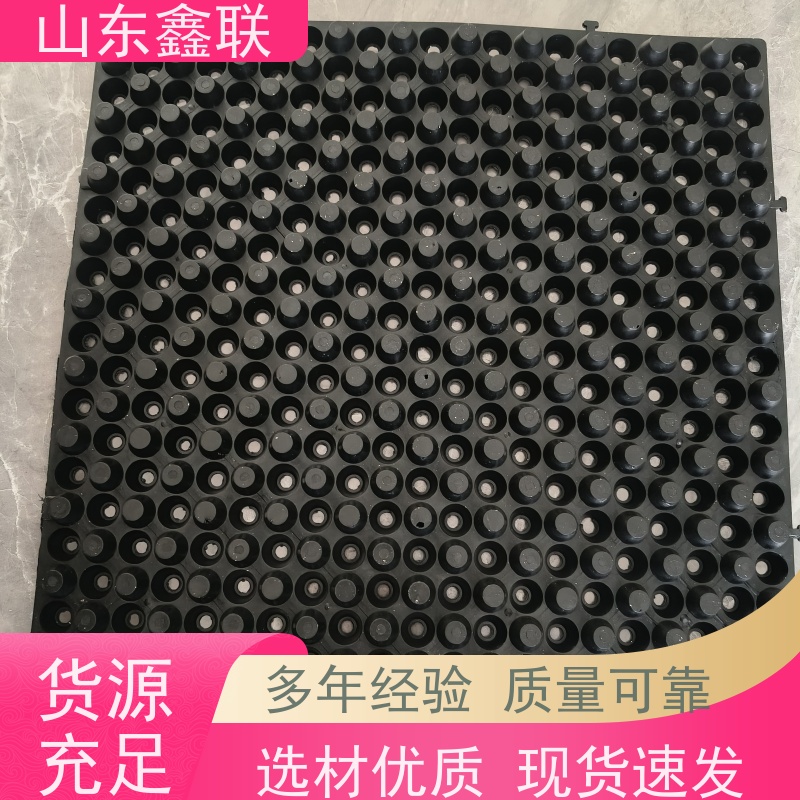鑫联 14高复合一体 塑料凸片排水层 厂家施工指导 聚乙 烯滤水板