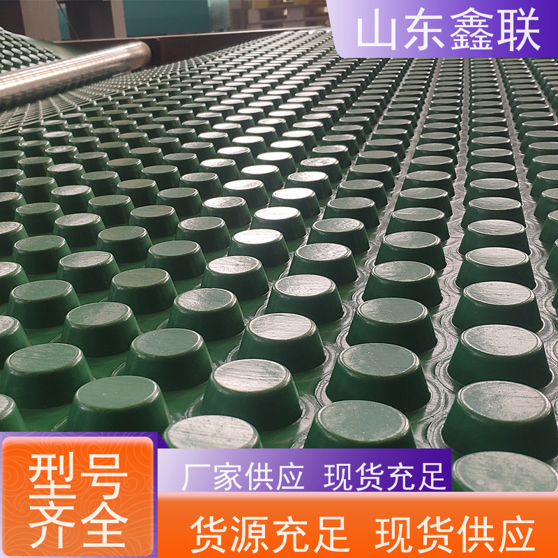 鑫联 25高卷材 塑料凸片排水层 百亩面积厂商 厚滤水板